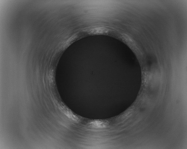 X0000078270326200611101114