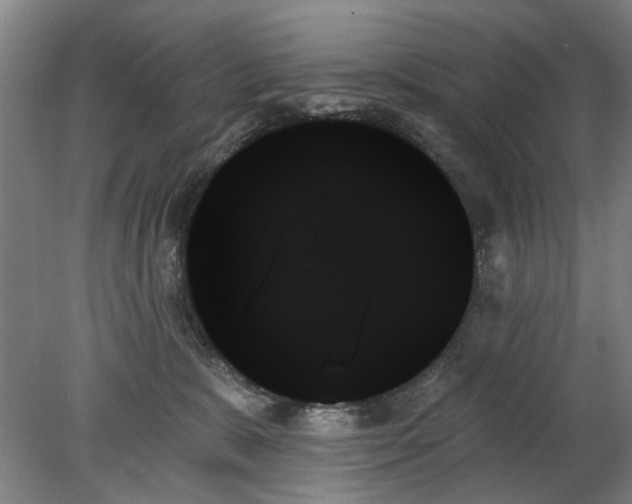 X0000078270327200611101114