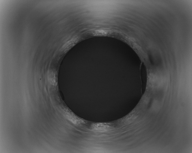 X0000078270331200611101114