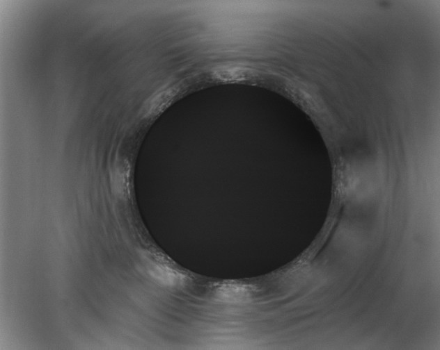 X0000078270332200611101114