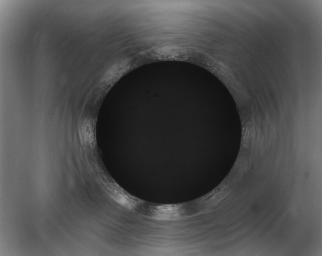 X0000078270335200611101114