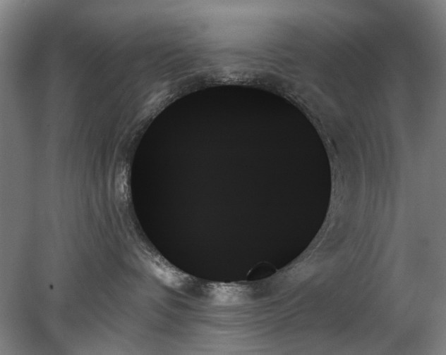 X0000078270336200611101114