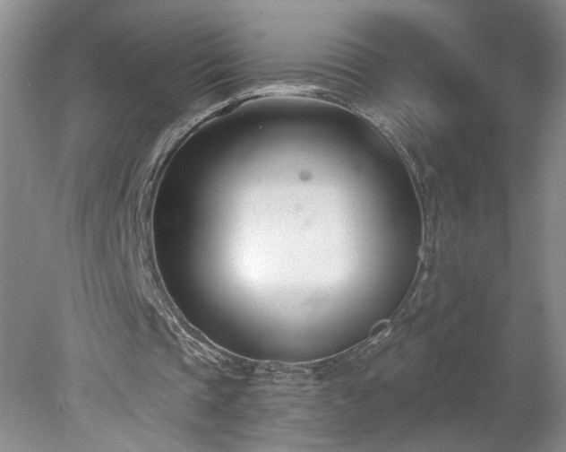 X0000078270337200611101113