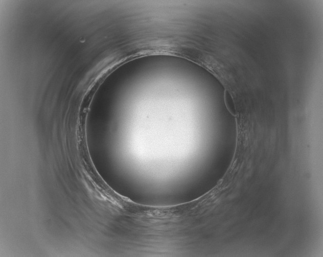 X0000078270338200611101113