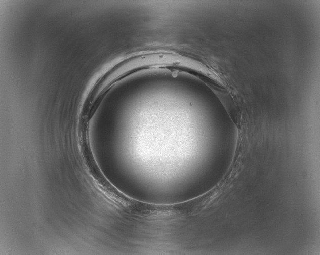X0000078270342200611101113