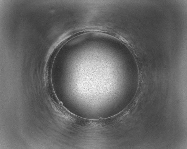X0000078270343200611101113
