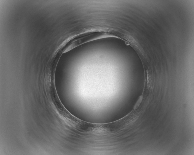 X0000078270348200611101113