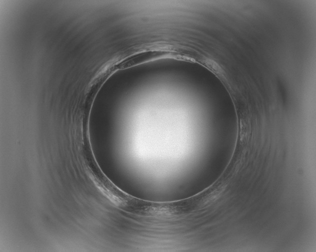 X0000078270349200611101113