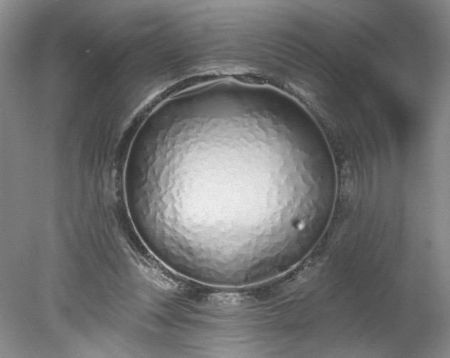 X0000078270351200611101113
