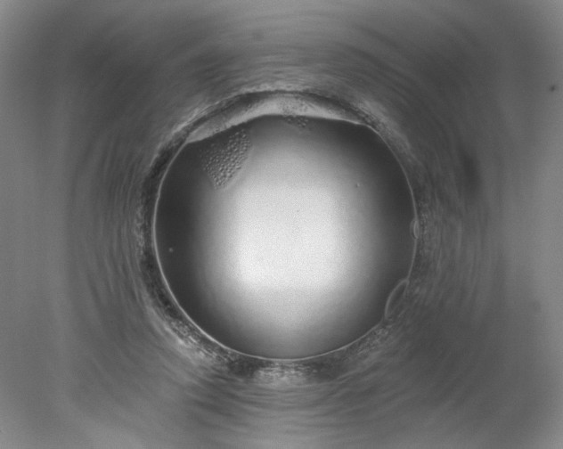 X0000078270354200611101113