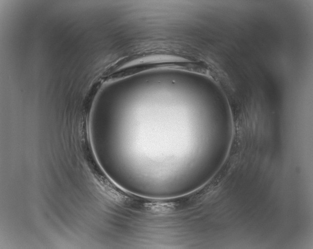 X0000078270359200611101113