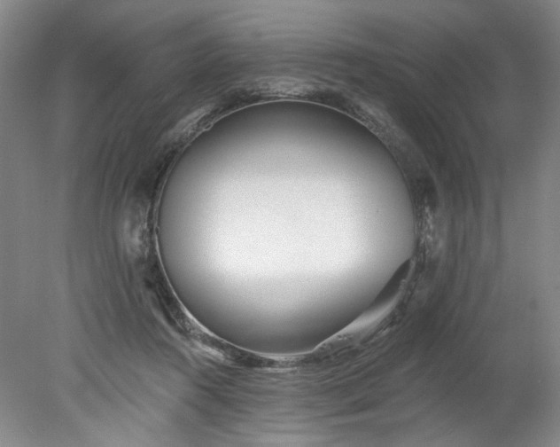 X0000078270360200611101113