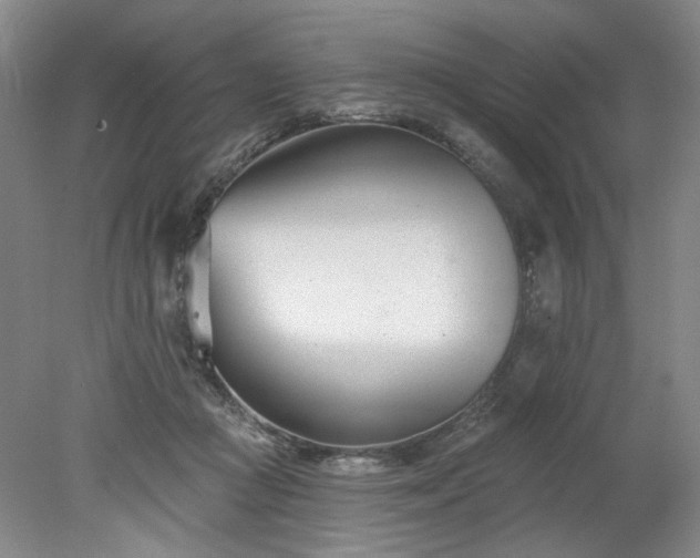X0000078270361200611101113