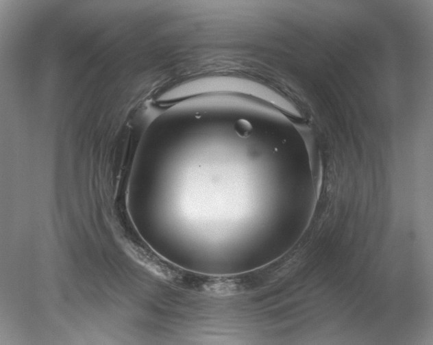 X0000078270362200611101113