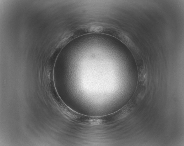 X0000078270363200611101113
