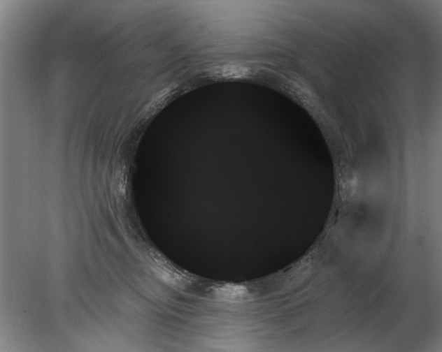 X0000078270374200611101114