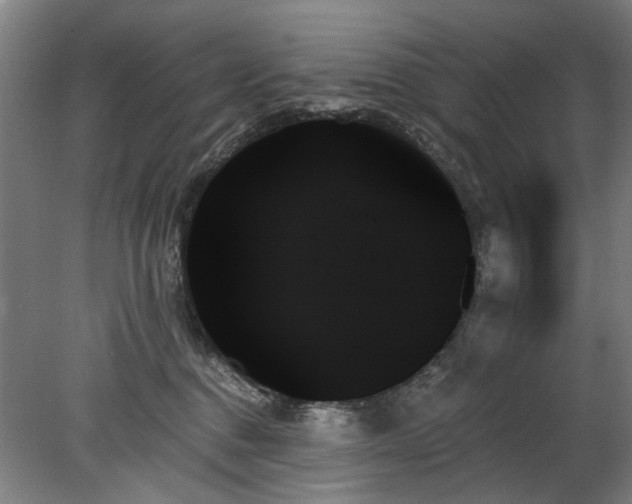 X0000078270376200611101114