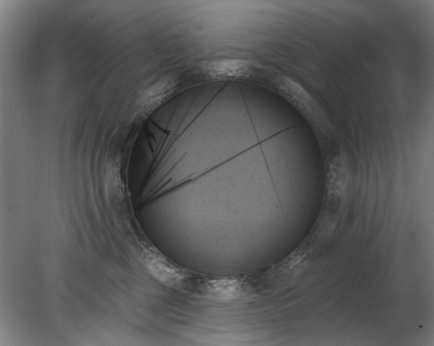 X0000078270377200611101114