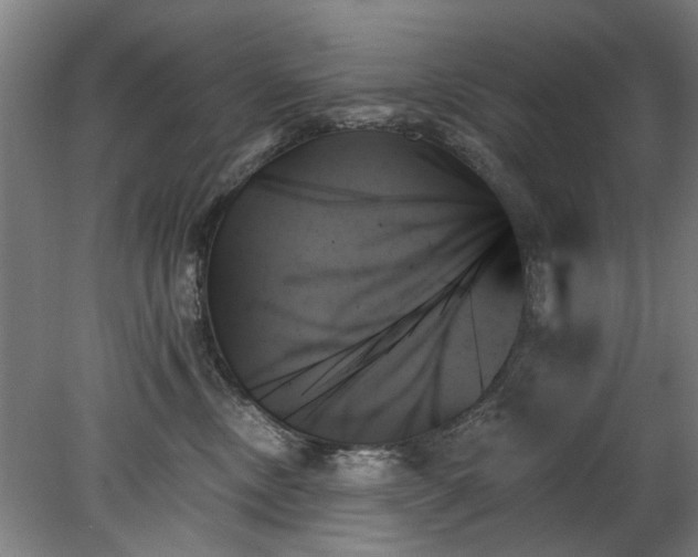 X0000078270378200611101114