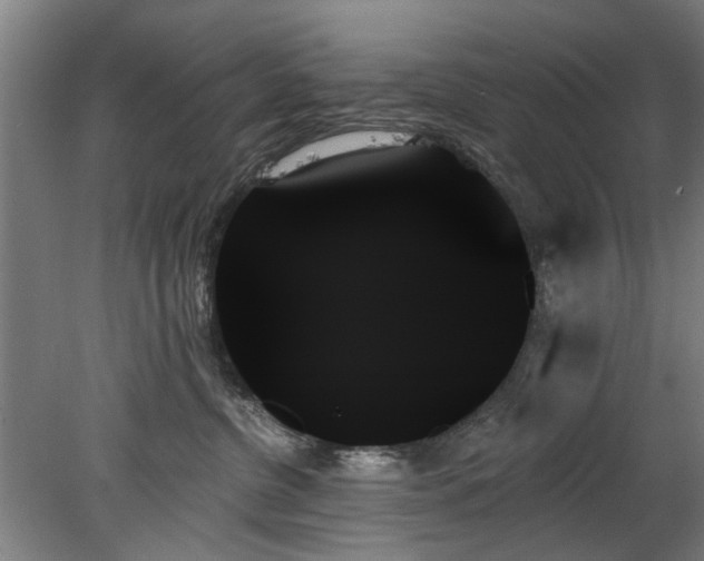 X0000078270380200611101114