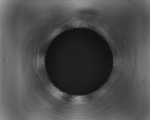 X0000078270382200611101114