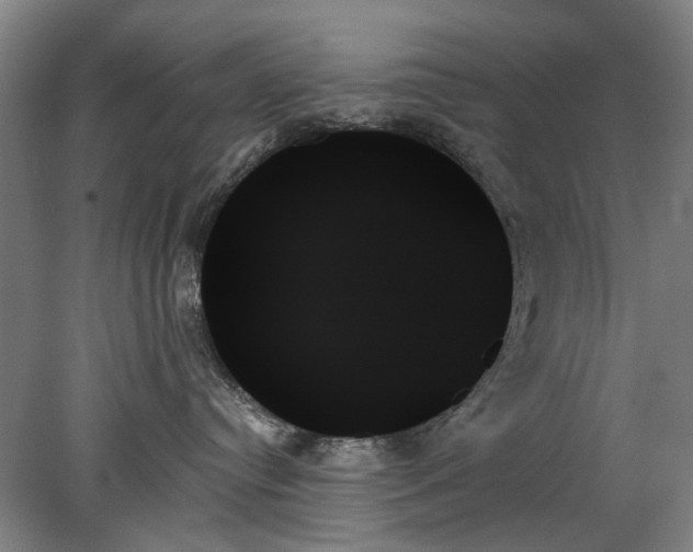 X0000078270384200611101114