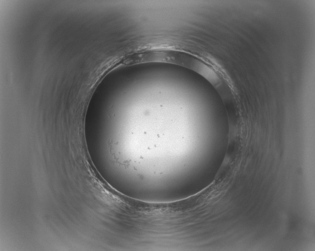 X0000078270385200611101113