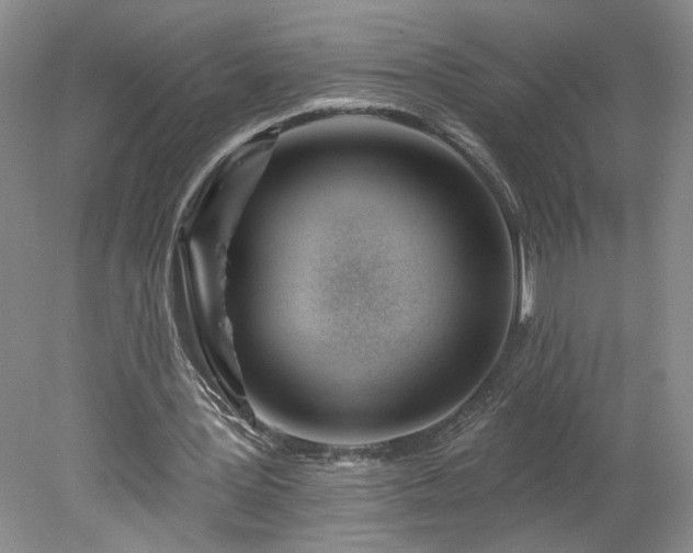 X0000078270387200611101113