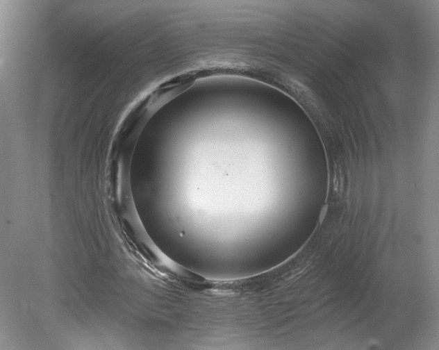 X0000078270388200611101113