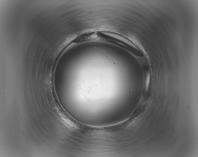X0000078270389200611101113