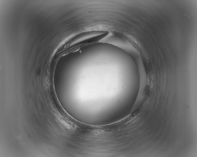 X0000078270392200611101113