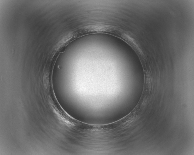 X0000078270394200611101113
