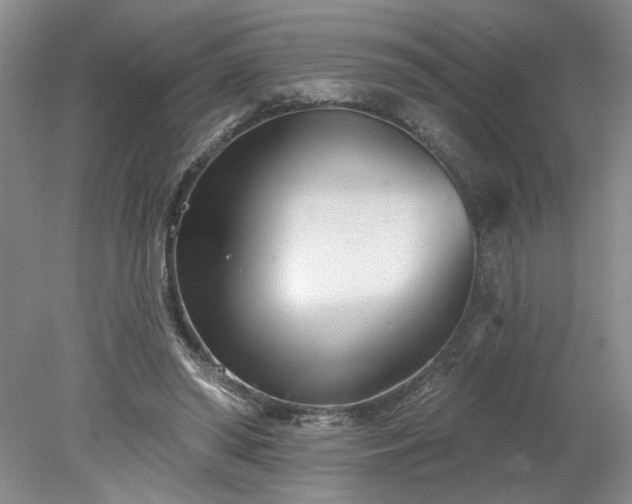 X0000078270398200611101113