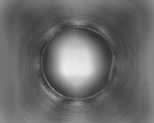 X0000078270402200611101113