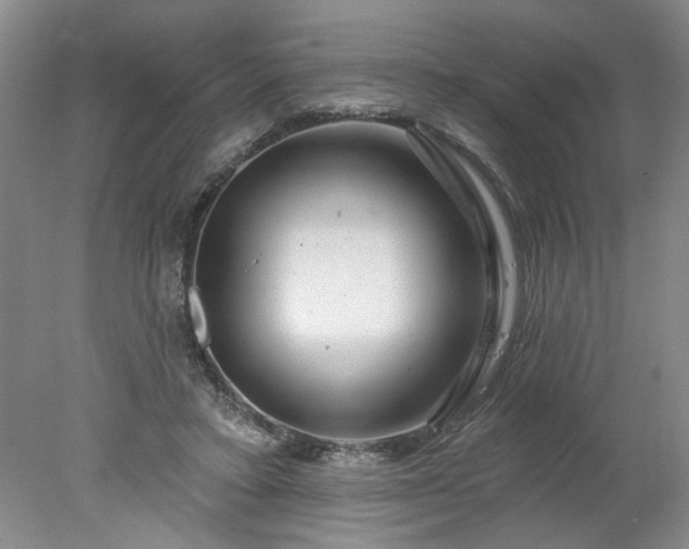 X0000078270403200611101113