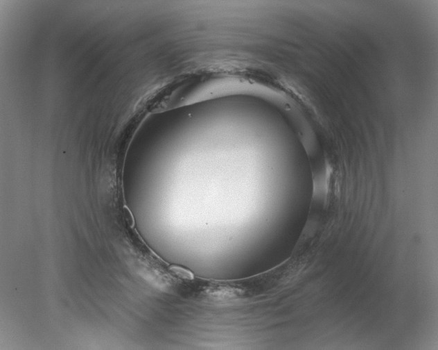 X0000078270407200611101113
