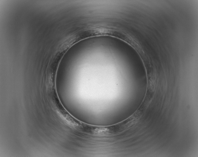 X0000078270410200611101113
