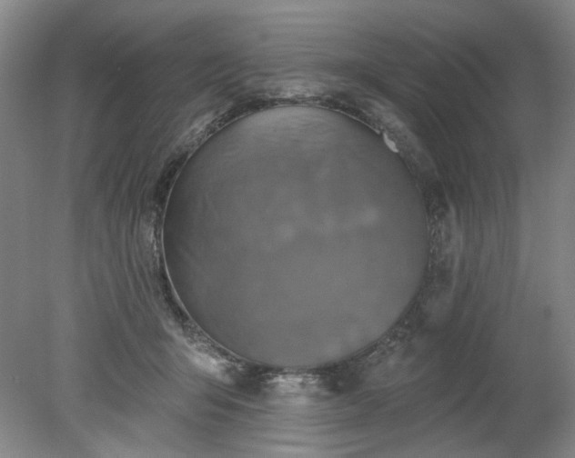 X0000078270415200611101113