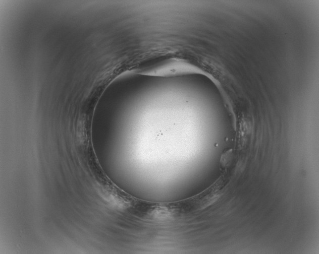 X0000078270416200611101113