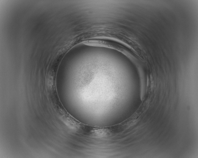X0000078270417200611101112