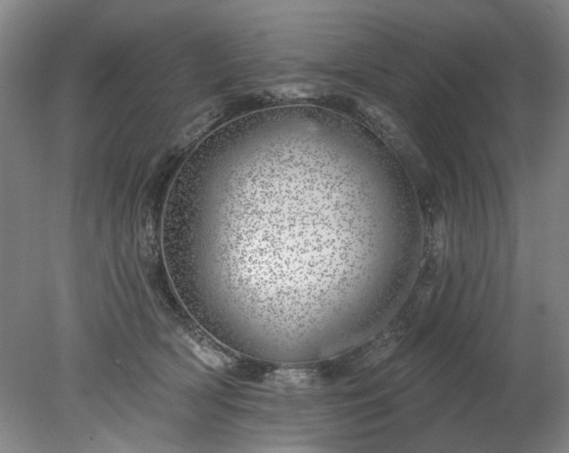 X0000078270418200611101112