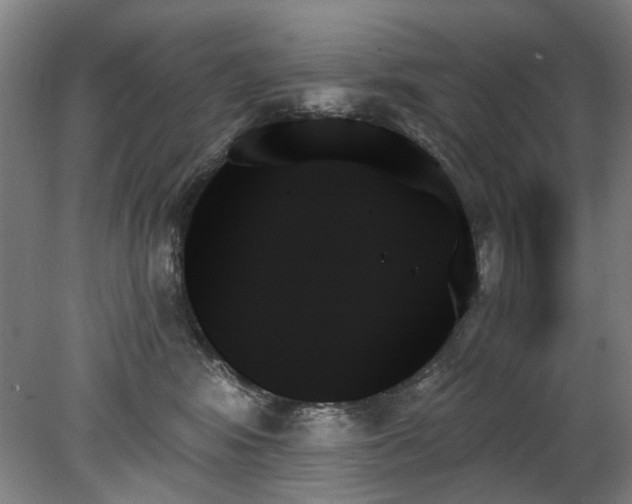 X0000078270424200611101112