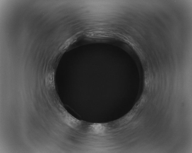 X0000078270425200611101112