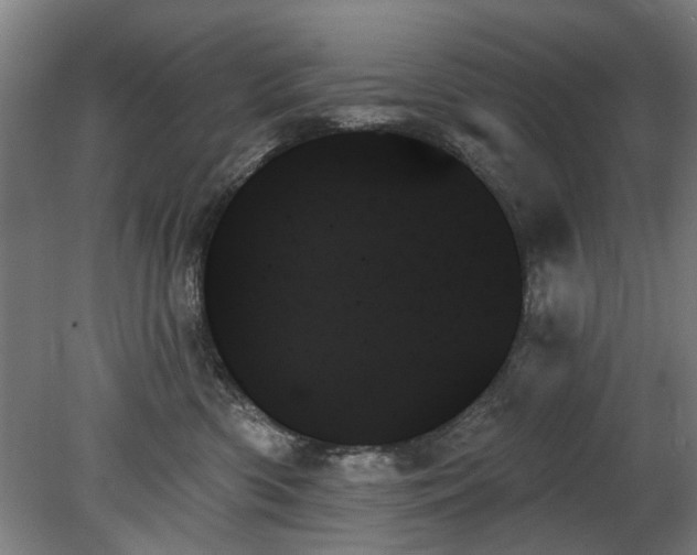 X0000078270426200611101112