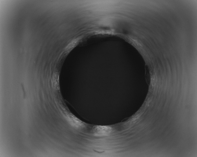 X0000078270429200611101112