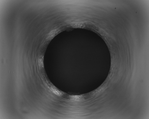 X0000078270432200611101112