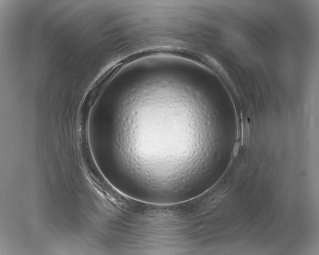 X0000078270435200611101111