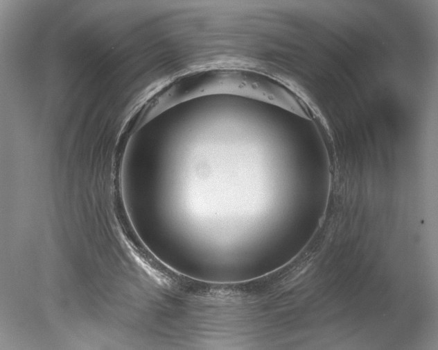 X0000078270437200611101111