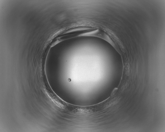 X0000078270442200611101112