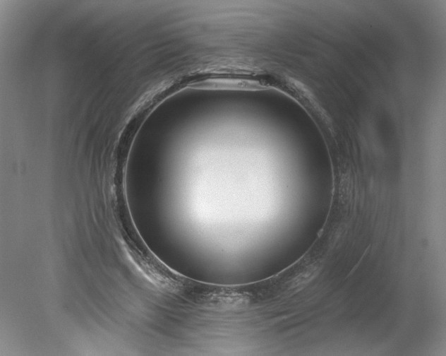 X0000078270443200611101112